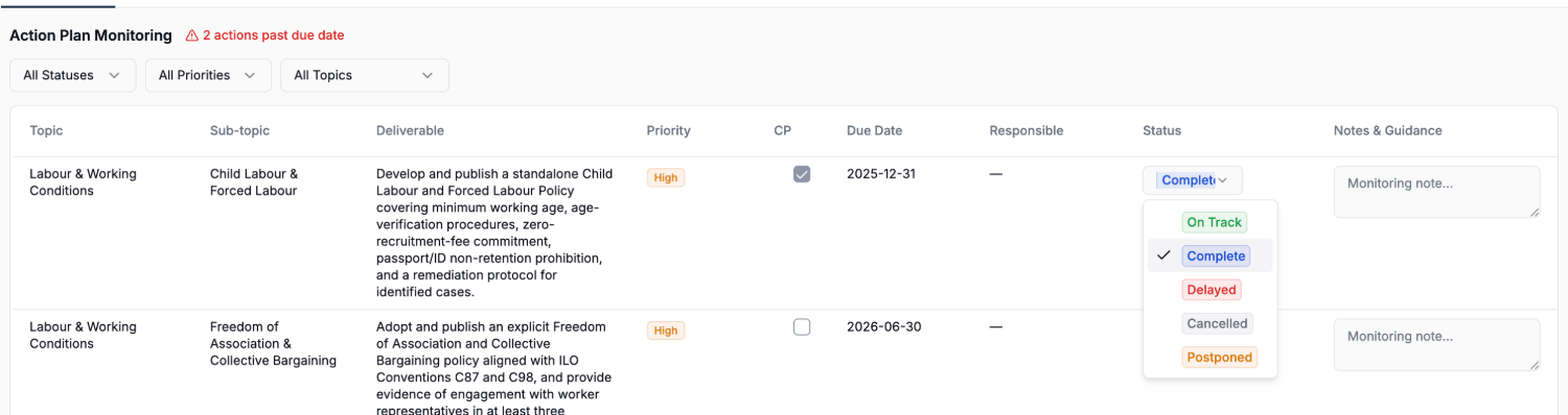 DD questionnaire and action plan